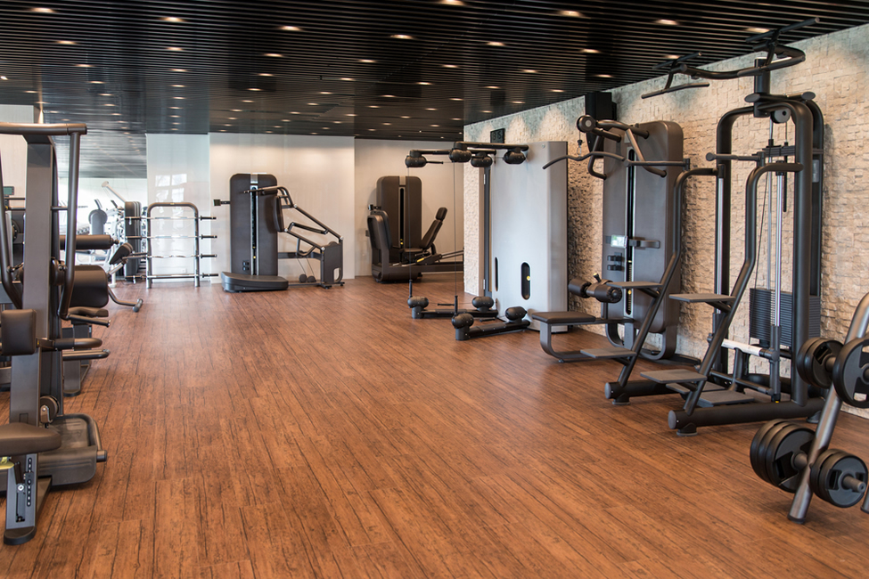 fitness