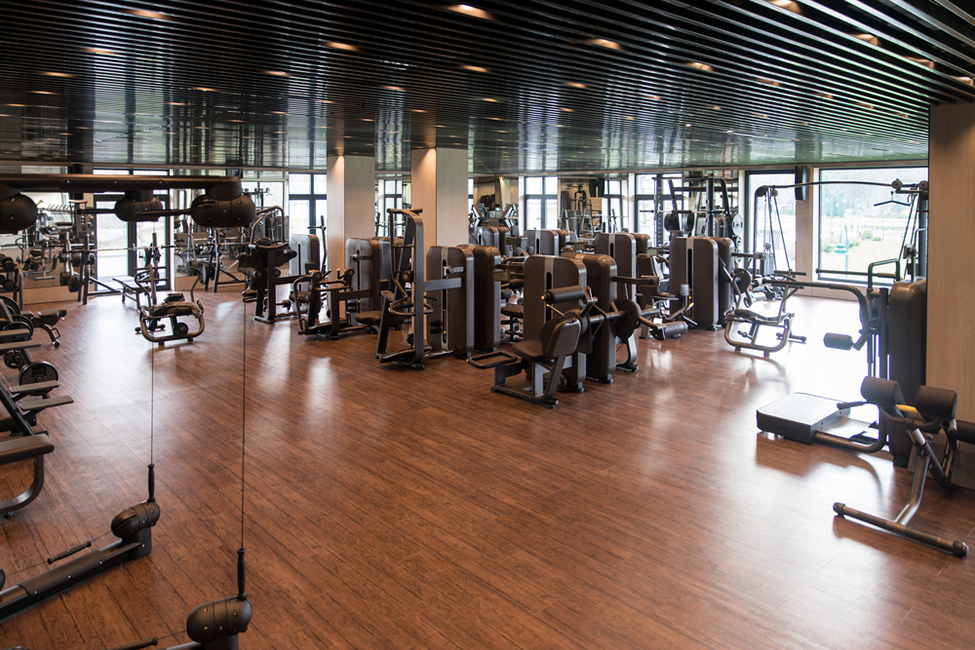 fitness